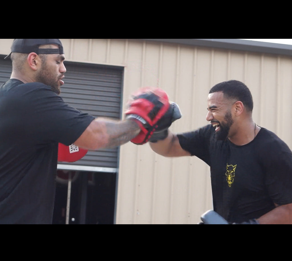 Apex Boxing APEX BOXING – ApexIntensity