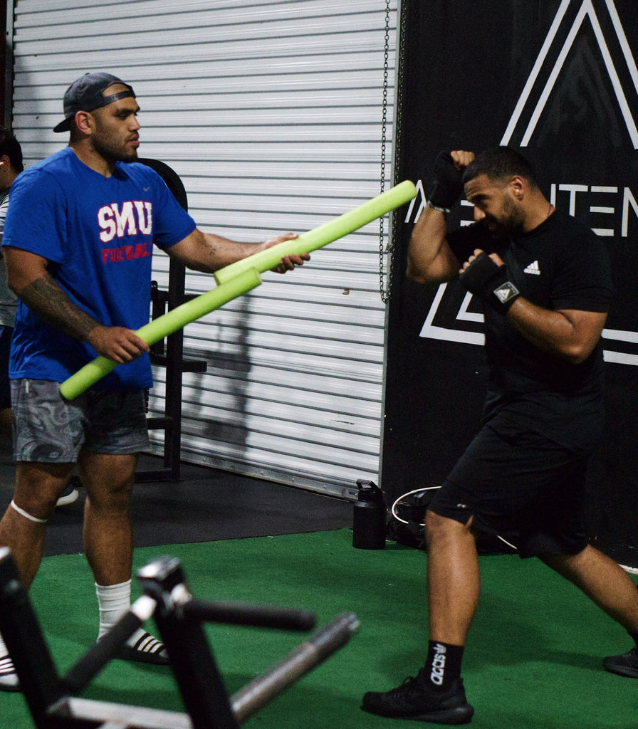 Apex Boxing APEX BOXING – ApexIntensity