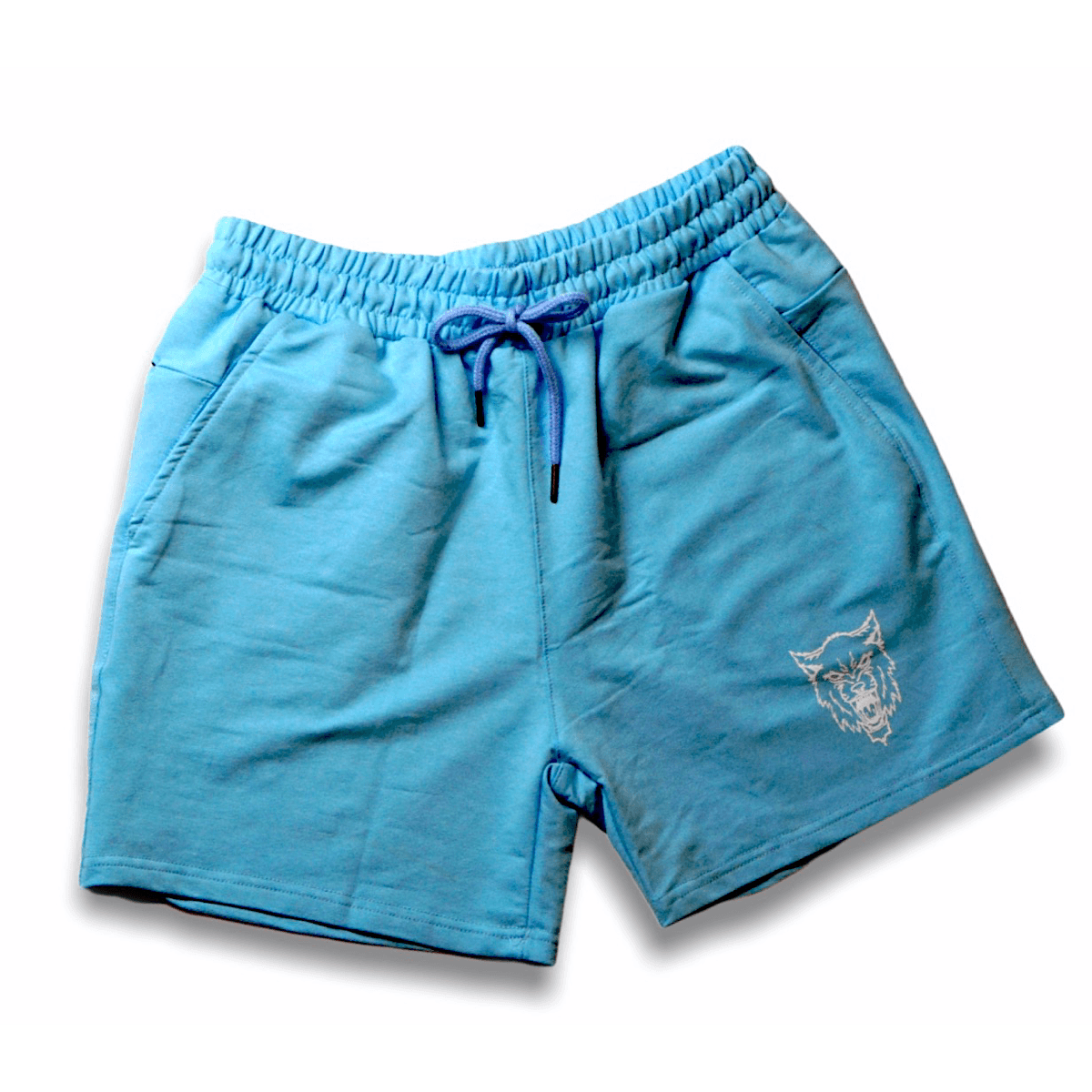 Leg Day Baby Blue Shorts ApexIntensity 