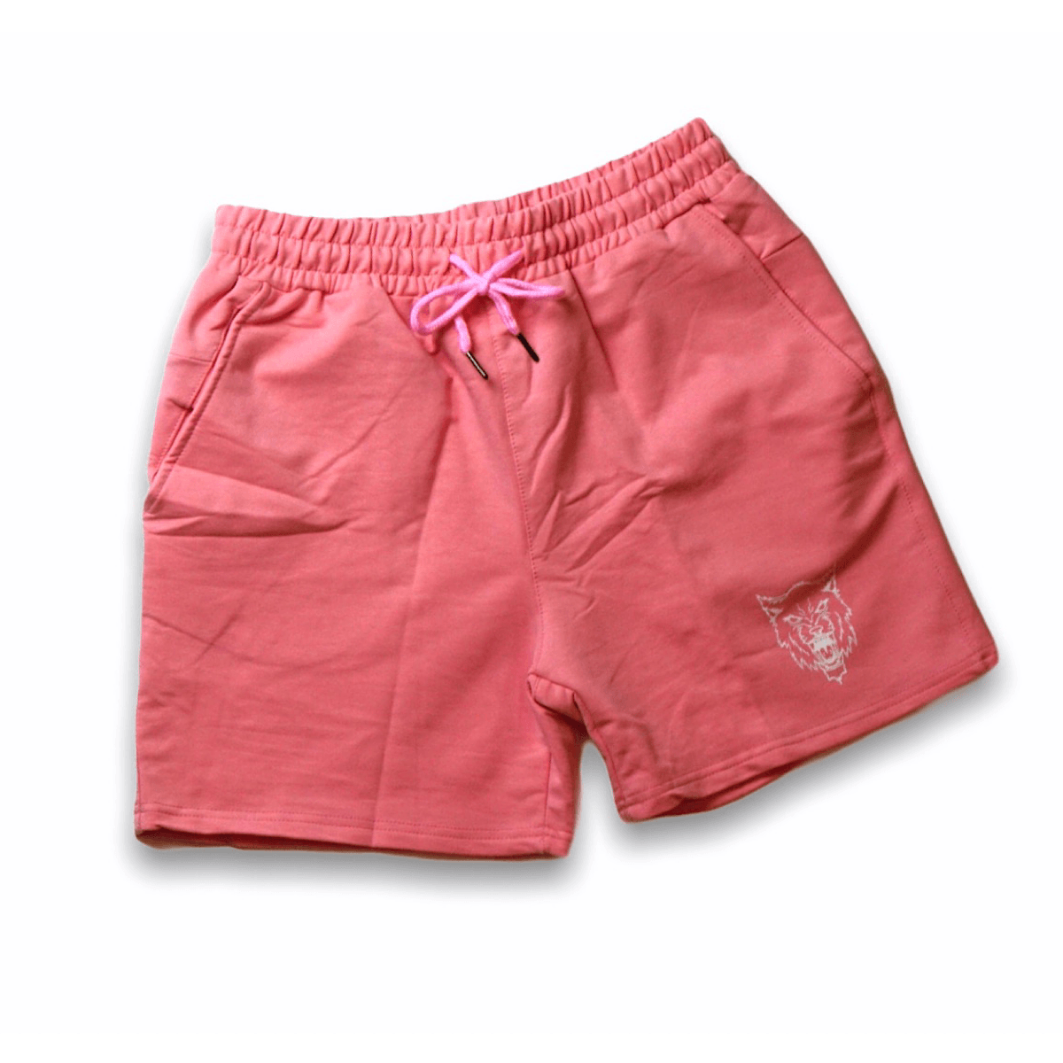 Leg Day Salmon Shorts ApexIntensity 